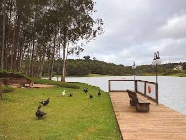 #1872 - Área para Venda em Pardinho - SP